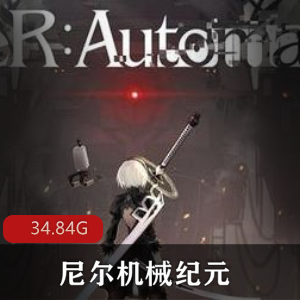 （尼尔机械纪元）游戏下载