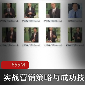 （实战营销策略）教程