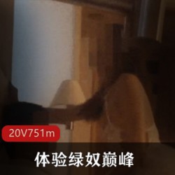 顶级素人NTR绿帽男找猛男和自己的老婆深度交流