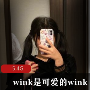 可爱Wink线下合集