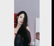 透明水晶魅骨斗鱼