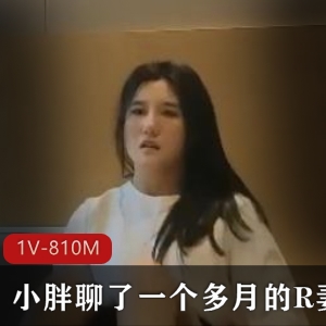 小胖征服R妻23分钟视频，小姐姐D小颜值身材精选