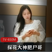 探花大神肥尸哥-身材非常棒的商品