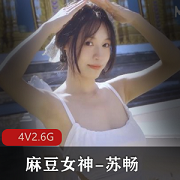 麻豆女神苏畅回归1-4合集，4V2.6G视频震撼上线