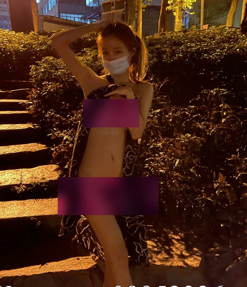 tommaxs小狗视频收藏达229个，网红主播们的独特魅力