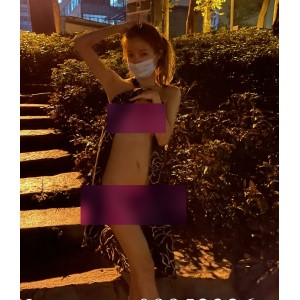 tommaxs小狗视频收藏达229个，网红主播们的独特魅力