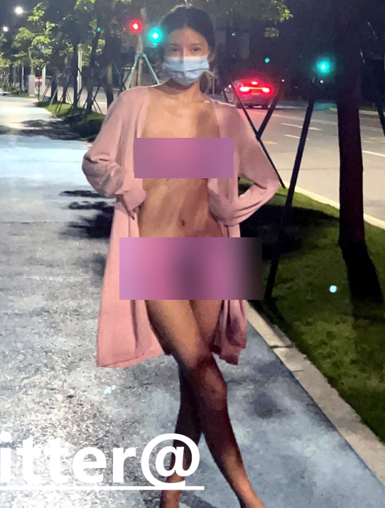 tommaxs小狗视频收藏达229个，网红主播们的独特魅力