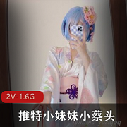 小蔡头火辣浴室作品cos雷姆Y语不断2V1.6G