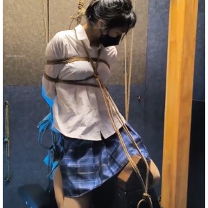 雨辰工作室指教合集：13个视频，26G存储，小众资源，不容错过