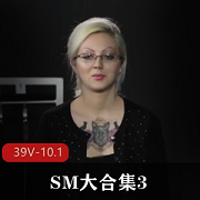 NUE大合集3：欧美经典SM作品，39V视频总计10.1G