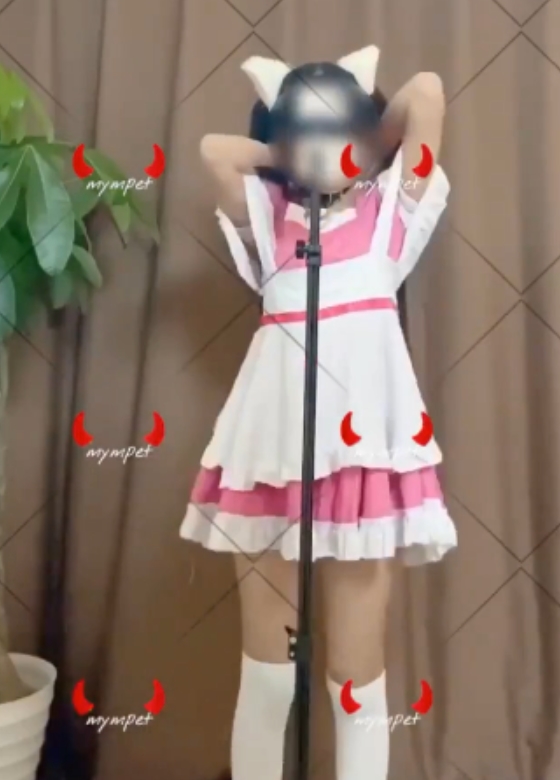 自行打包：热舞、变装、卡点视频合集，25.5G大容量惊喜等你解压