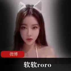 微博人气主播roro麗棋发布珍餐柘集163V，视频数量惊人，大小3.3g，粉丝疯狂点赞