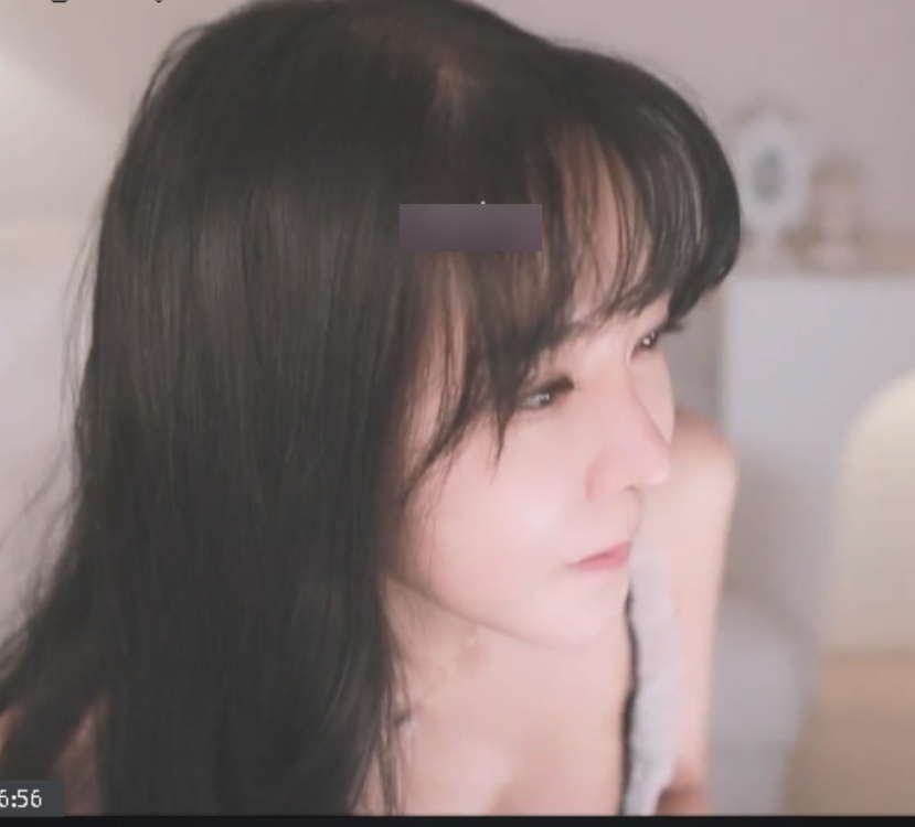 韩国烧鸡大合集NV160G，百度盘下载