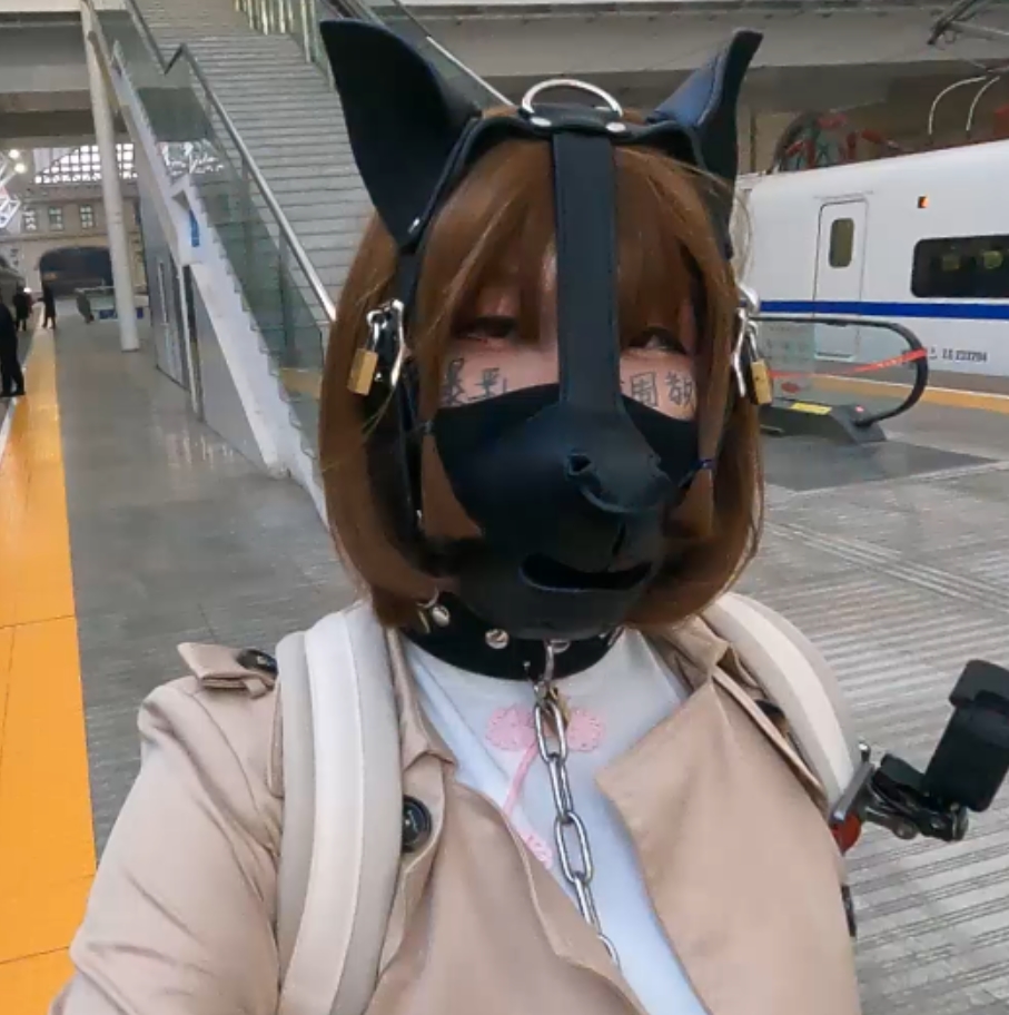 满月之夜特别合集！12个视频，总计17.9G，百度盘下载