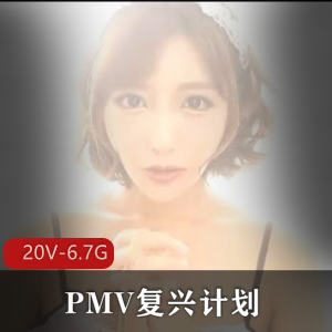 PMV复兴计划小合集精彩剪辑20V6.7G，绝版女Y作品