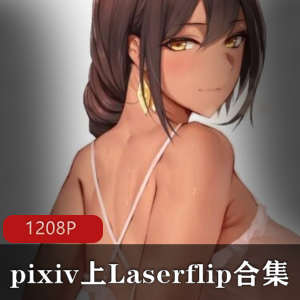 pixivLaserflip与MetalOwl波霸女主角合集50部2G，高清18r作品
