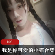 珍藏小猫视频图包合集多部10G哇塞