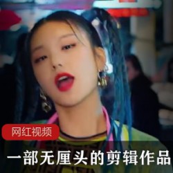 哔哩哔哩奇葩混剪神作合集1部0.5G脑洞突破