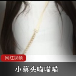 喵喵喵小蔡头职场剧情一部30G太火辣了