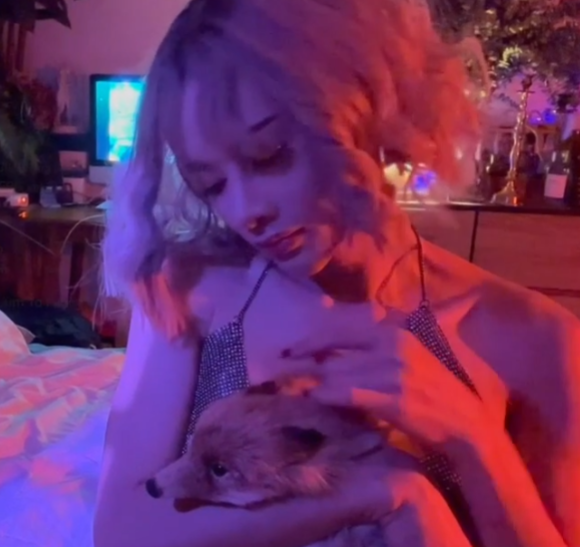 推特合集TS伪娘WitchyFox50部30G太诱人