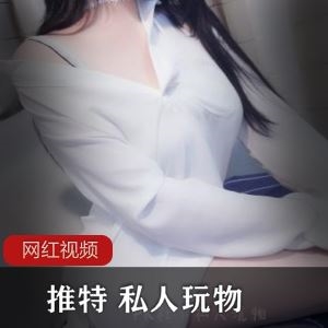 PR社推特私人玩物温柔待你归秘书装视频45部1.2G粉嫩多汁